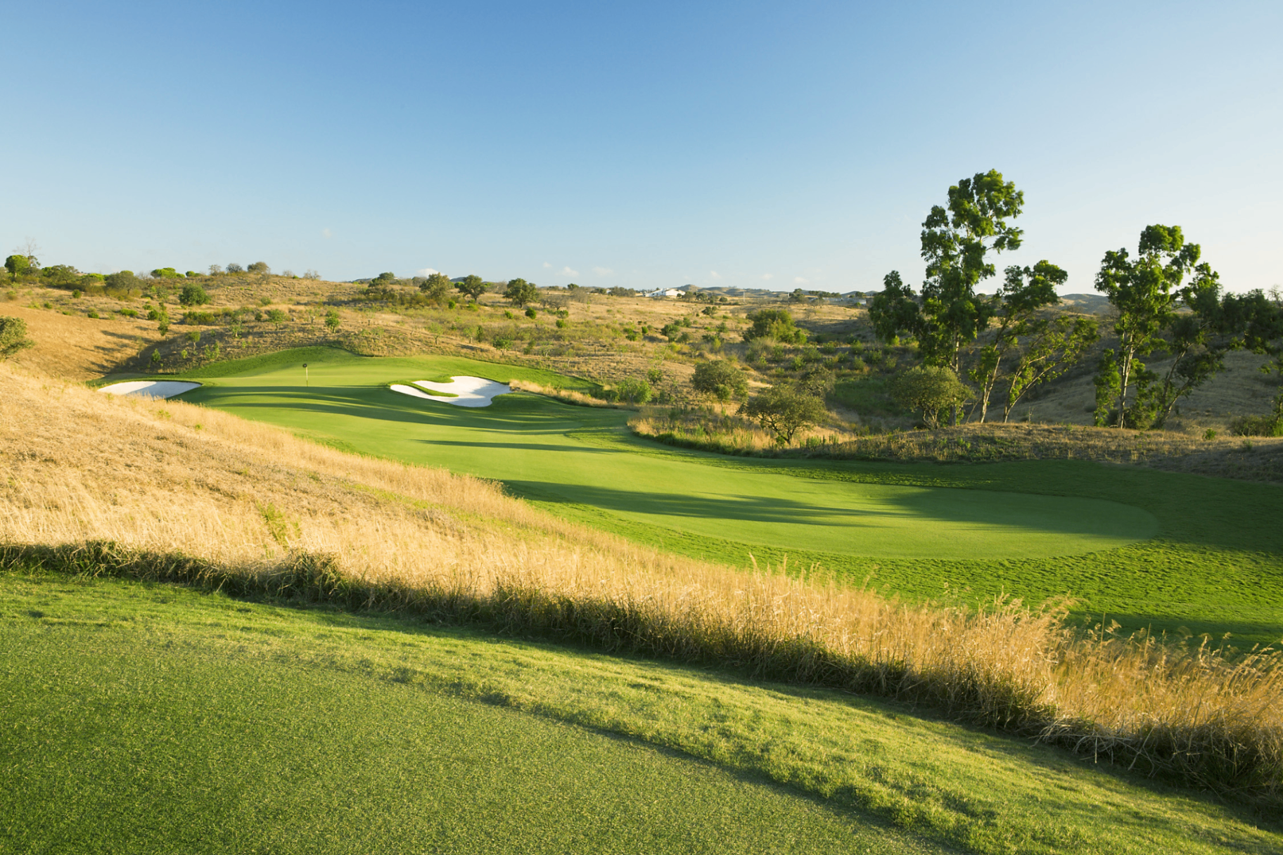Signature par-3 7th hole — undulating green protected by bunkers, framed by natural fescue and rolling terrain
